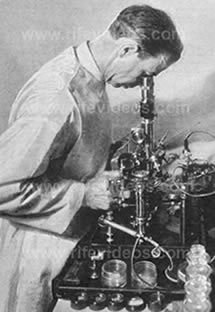 Dr. Rife